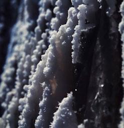 MINES DE SAL A CARDONA 
