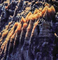 MINES DE SAL A CARDONA 
