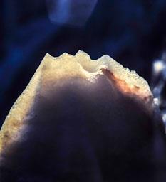 MINES DE SAL A CARDONA 
