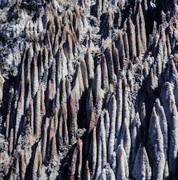 MINES DE SAL A CARDONA 
