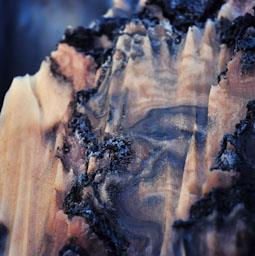 MINES DE SAL A CARDONA 
