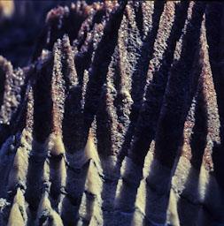 MINES DE SAL A CARDONA 
