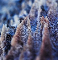 MINES DE SAL A CARDONA 
