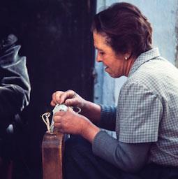 ESPARDANYERA TODOLELLA