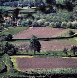 CAMPS CONREUATS A ASTURIES 1972