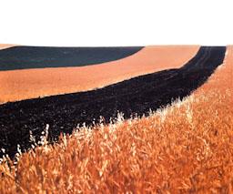 CAMPS EN GUARET PROVICIA DE CACERES