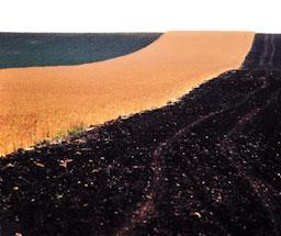 CAMPS EN GUARET PROVICIA DE CACERES