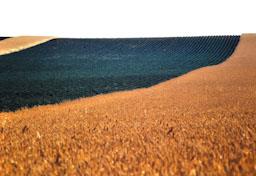 CAMPS EN GUARET PROVICIA DE CACERES