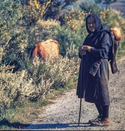 PASTORA A LA COMARCA DE MATARRANYA 1972