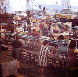 FABRICA DE CONSERVES DOLORES ANYS 70