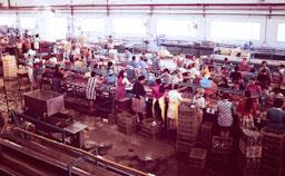 FABRICA DE CONSERVES DOLORES ANYS 70