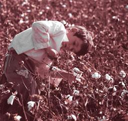 RECOLLINT COTO A CANTILLANA ANYS 70