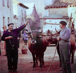 FERRERAS DE ARRIBA ANYS 70