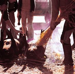 ALCAÑICES ANYS 70 MATANÇA DEL PORC