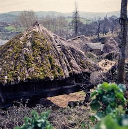 PALLOZA CELTICA EN PARADESECA