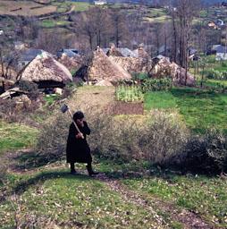 PALLOZA CELTICA EN PARADESECA