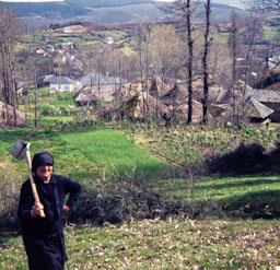 PALLOZA CELTICA EN PARADESECA