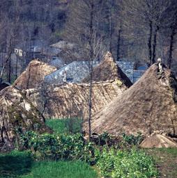 PALLOZA CELTICA EN PARADESECA