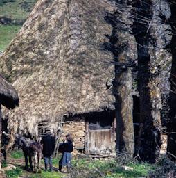 PALLOZA CELTICA EN PARADESECA