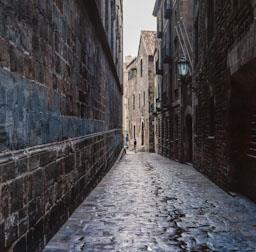 CARRER DELS COMTES I CASA DE LA PIA ALMOINA