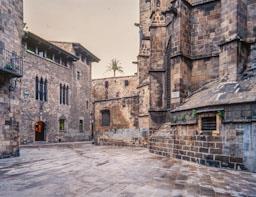 CASA DELS CANONGES I AMBSI CATEDRAL