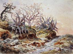 ESCENOGRAFIA M VILOMARA XIX XX 
TEATRE DEL LICEU