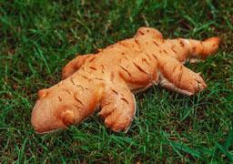 PA EN FORMA DE LLAGARDAIX