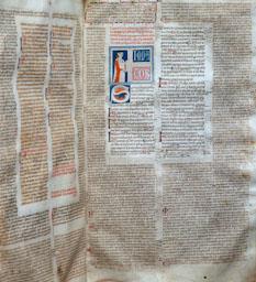 CODEX IURIS CIVILIS S XVI 
BIBLIOTECA DE LA UNIVERSITAT