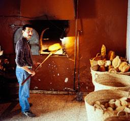 FORN DE PA A ALCALA DE LOS GAZULES (CADIZ)