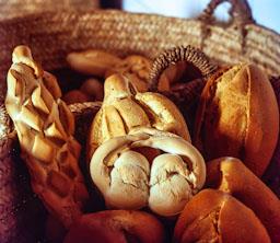 FORN DE PA A ALCALA DE LOS GAZULES (CADIZ)