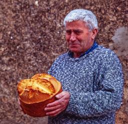FORN DE PA TENEBRON (SALAMANCA)