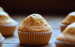 FORN DE PA A VILLARRUBIAS (SALAMANCA)
MAGDALENES