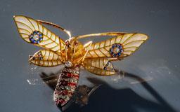 AGULLA (PAPALLONA) LLUIS MASRIERA 
C P