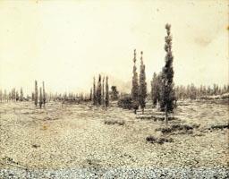 -PAISATGE- JOSEP MASRIERA 
C P