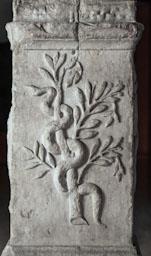 ARA ROMANA DEDICADA A SALUS PROCEDENT DEL TEMPLE DE CARTAGENA 
M A C