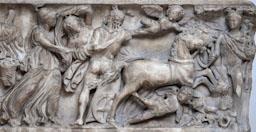 SARCOFEG ROMÀ -RAPTE PROSERPINA-
PROCEDENT DE SANTA POLA (ELX) 
M A C