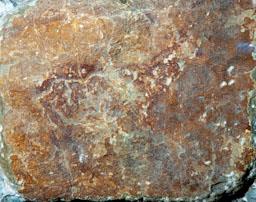 PINTURES RUPESTRES DE CRETES 
M A C