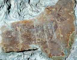 PINTURES RUPESTRES DE CRETES 
M A C