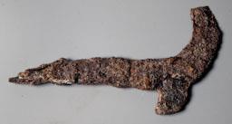 PODALL S VII PROCEDENT DE PUIG ROM ROSES 
M A C (GIRONA)