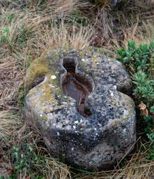 JACIMENT DE VILACLARA S VII 
CONTRAPÈS DE PREMSA 
