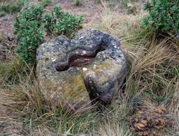 JACIMENT DE VILACLARA S VII 
CONTRAPÈS DE PREMSA 
