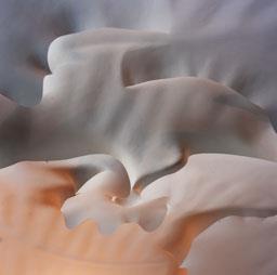 CASA MILÀ -LA PEDRERA- INTERIOR SOSTRES