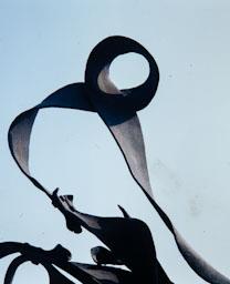 LA PEDRERA BALCONS 
DETALL BARANA