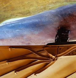 LA PEDRERA PATI C/PROVENÇA