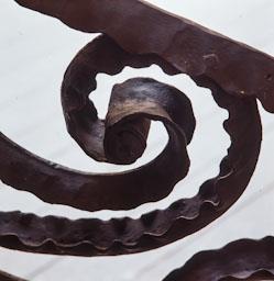 LA PEDRERA BARANA PATI C/PROVENÇA