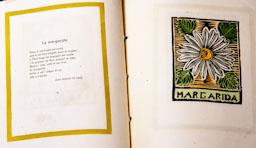 -LLIBRE DE LES FLORS-
BIBLIOTECA ROSA SENSAT 
