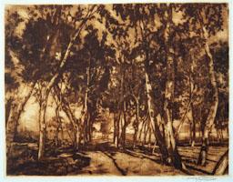 -ARGENTONA PAISATGE DELS VIVERS-
C P