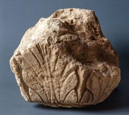 CAPITELL 
MUSEU DE MATARO