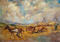 -BARQUES I BOUS-
C P