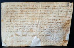 VENDA D´UN ESCLAU DE RAÇA BLANCA 
BIBLIOTECA DEL COL LEGI D´ADVOCATS